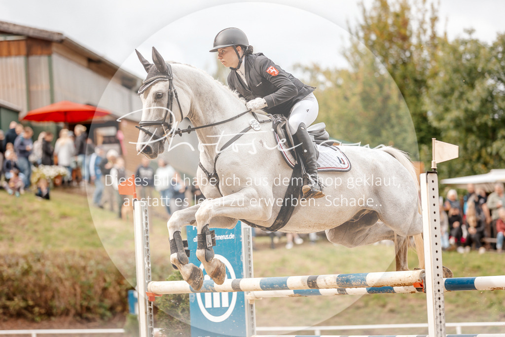 3I6A8180 | Stimmungsvolle Portraits und Reitsportfotografie im Ruhrgebiet und im Münsterland.

Pferdefotografie, Hundefotografie, Tierfotografie, Reportagen, Portraits von Tier und Mensch, Turnierfotografie in Bochum, Recklinghausen, Marl, Haltern am See, Dülmen.. - Realisiert mit Pictrs.com