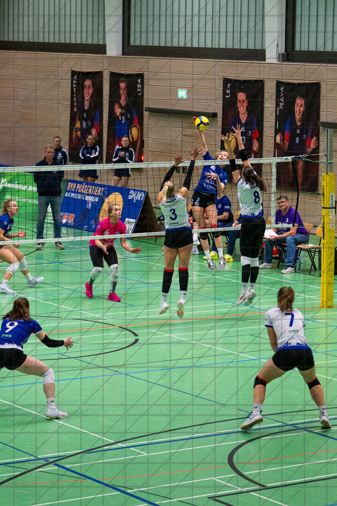 2. VBLF Nord 25/26 | Spiel 4097 | VC Osnabrück vs. Team 48 Hildesheim | //  21.02.26: 2. VBLF Nord 25/26 | Spiel 4097 | VC Osnabrück vs. Team 48 Hildesheim / Osnabrück / Deutschland  //   CREDIT:www.bullenfotos.de, Martin König, Hörner Weg 40, D-49078 Osnabrück, +4917663732967 // Nutzung und Weitergabe nur zu den vereinbarten Zwecken. Presseanfragen an Ersteller. Alle Rechte beim Ersteller. Honorierung nach MFM. - Realisiert mit Pictrs.com