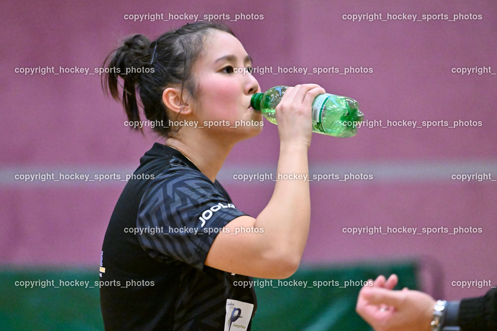 TTC Nano Tech Villach vs. ASV TT Südtirol Tischtennis Achtelfinale | LE Ti Hong Loan