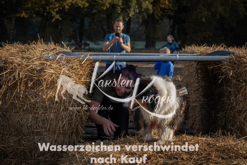 0945_ZZ94562 | kk-dogfotos