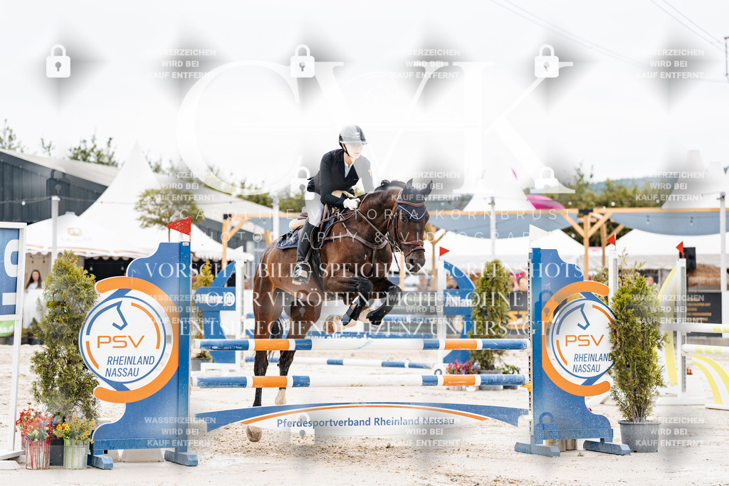 CK906384 | Turnierfotografie Pferdefotografie Trier Rheinland-Pfalz Pferdesport Reitsport Tierfotografie Sportfotografie Pferdevideo Pferdevideografie Equestrianvideography equestrianphotography  - Realisiert mit Pictrs.com
