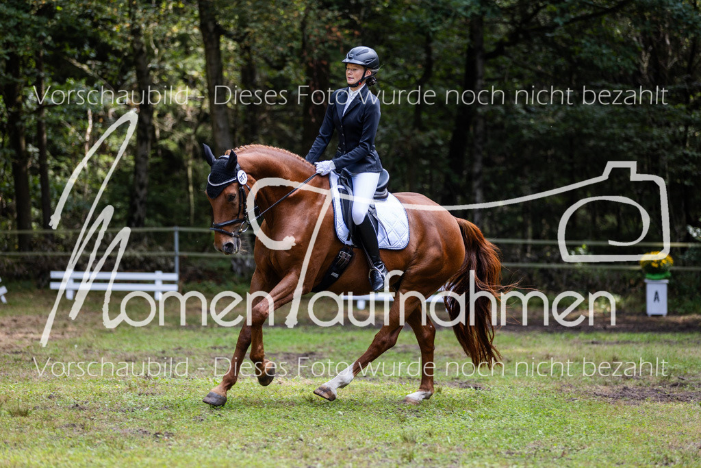 HB-Dressur-WB-051 | MomenTaufnahmen Pferdesportfotos