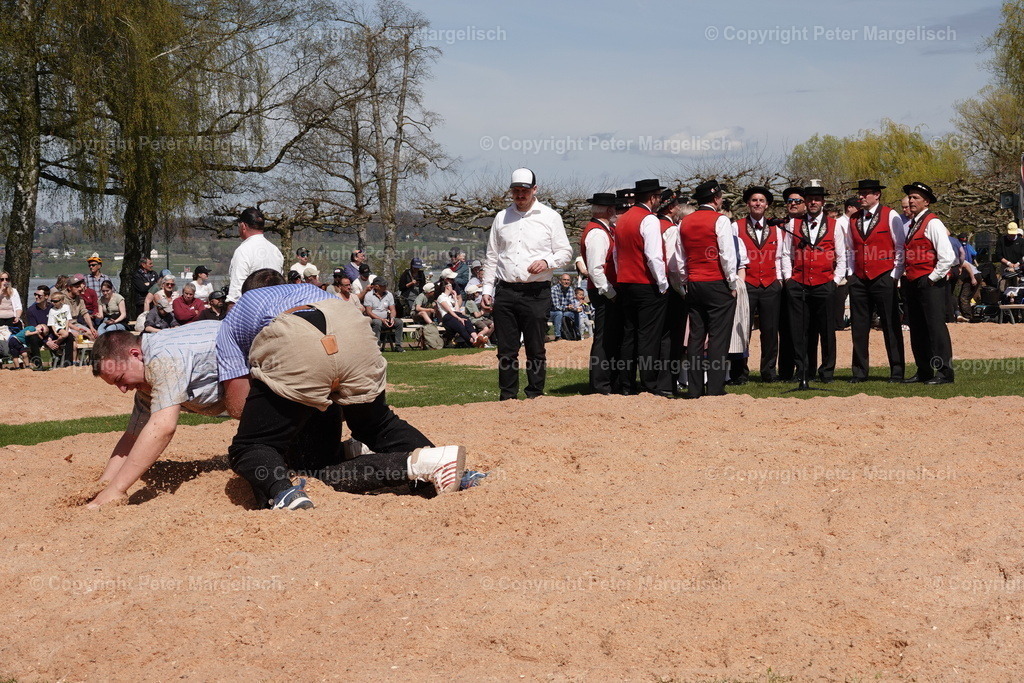 DSC02319 | Schwingen - Realisiert mit Pictrs.com