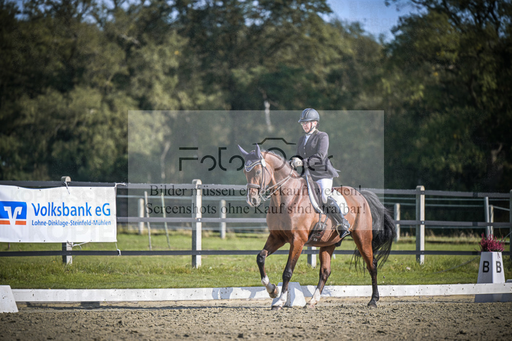 DOS_1108 | Entdecke hochwertige Reitturnierfotos von Foto Oger. Professionell, emotional und authentisch – jetzt Lieblingsmomente im Shop bestellen.Deutschlandweite Turnierfotografie. - Realisiert mit Pictrs.com