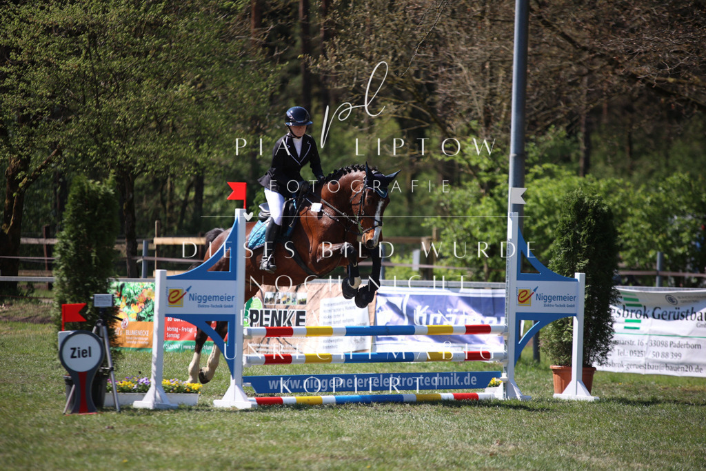 IMGT8052 | pl-fotografie