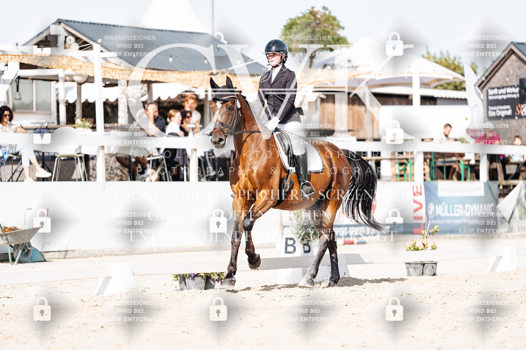 CK905750 | Turnierfotografie Pferdefotografie Trier Rheinland-Pfalz Pferdesport Reitsport Tierfotografie Sportfotografie Pferdevideo Pferdevideografie Equestrianvideography equestrianphotography  - Realisiert mit Pictrs.com