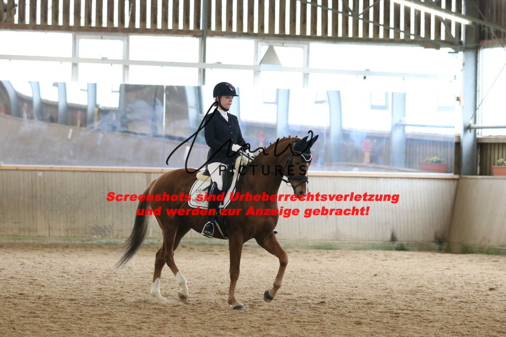 IMG_6980 | lmwpictures - Realisiert mit Pictrs.com