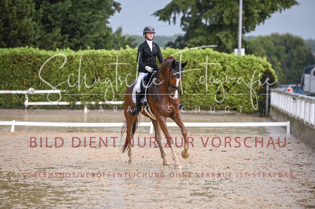 Schugtsche-Aluta25-55.Dressurreiterprf.L1Tr-342 | Schugtsche Fotografie - Realisiert mit Pictrs.com