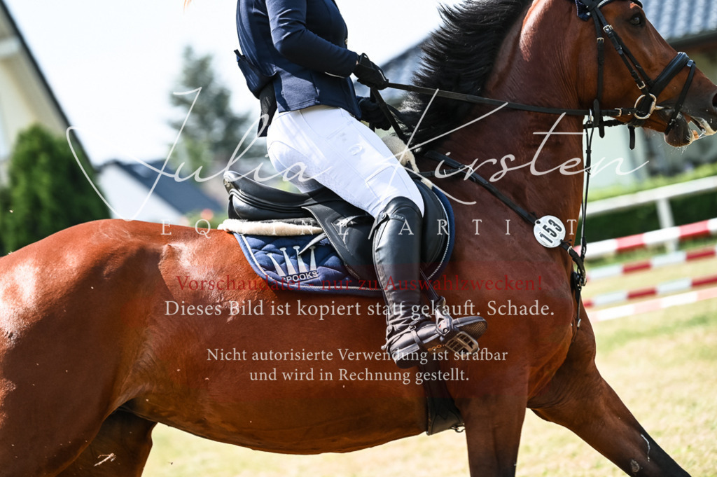 DSC_9348 | Pferde- und Turnierfotografie in Westsachsen. Pferdeportraits, Auftragszeichnungen und intuitive Kunst.