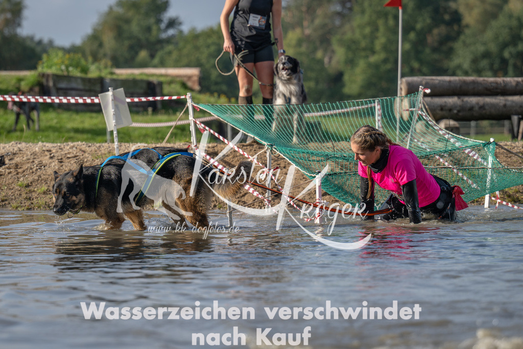 1102_ZZ91116 | kk-dogfotos