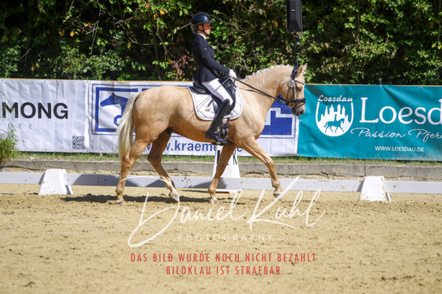 DKP42188 | Turniersportfotografie; Pferdefotografie; Dressurfotografie