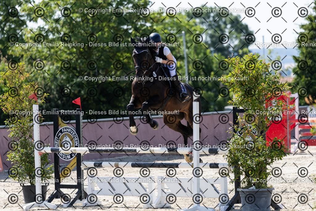 CL5A3129 | Emilia Reinking Fotografie - Realisiert mit Pictrs.com