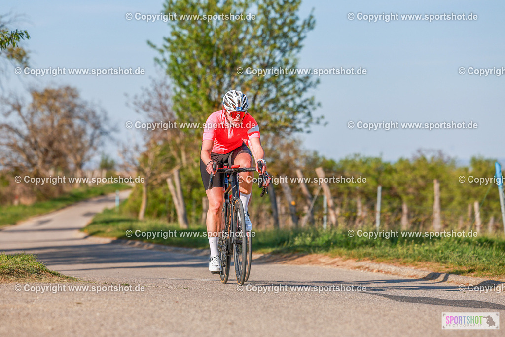870_AR6_8471 | Neusiedlersee Radmarathon 2026@sportshot_your_pictrs #yourpictures#roadtowm2029 #nrm #neusiedlerseeradmarathon #neusiedlersee #neusiedlerseetourismus #burgenland #mörbisch #nrm26 #burgenlandtourismus #voglundco #poweredbyburgenlandtourismus #radsport #rad #marathon #ucigranfondo #visitburgenland #ucigranfondoworldseries