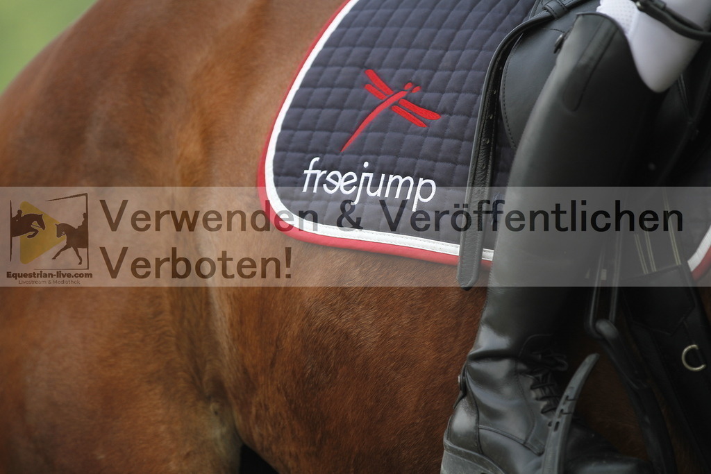 _MG_4484 | equestrian-live-com
