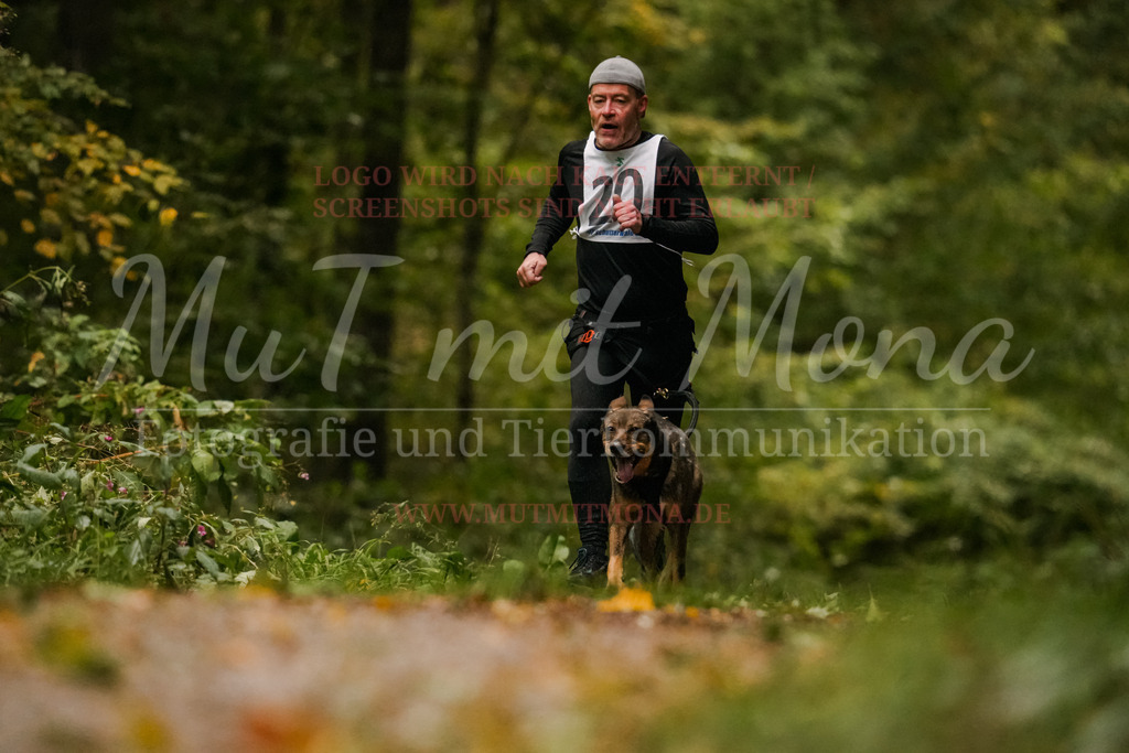 20251005_THS_Turnier-166 | MuT (Mensch und Tier) mit Mona - Fotografie und Tierkommunikation - Realisiert mit Pictrs.com