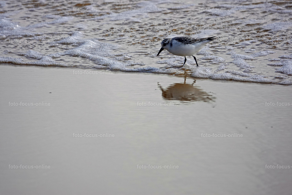 beach_15 | Landscape photography, spectacular waves, Atlantic Ocean, Baltic Sea