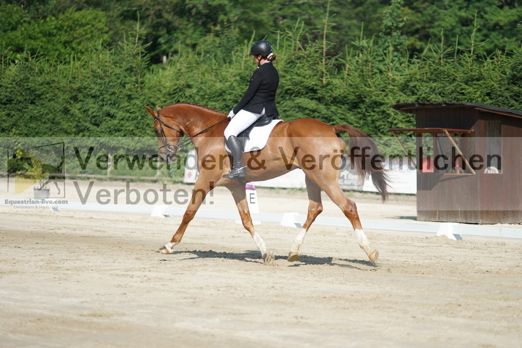 DSC01362 | equestrian-live-com