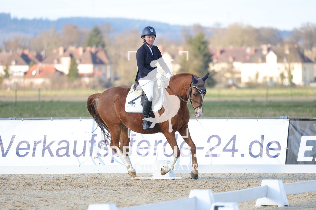 0P6A8093 | Willkommen bei Brunnmayr - Design & Fotografie – Ihrem Spezialisten für Reitturniere und Pferdeveranstaltungen in Oberösterreich, Salzburg und Bayern! Seit über 17 Jahren sind wir leidenschaftlich dabei.