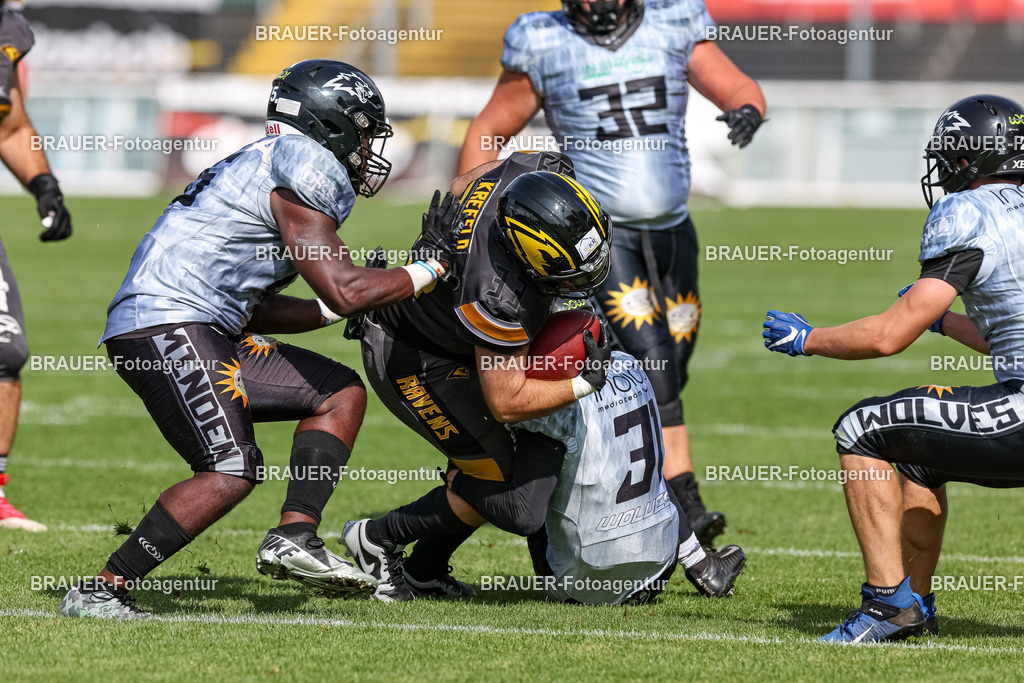 097_Ravens_20230827_1424 | BRAUER-Fotoagentur