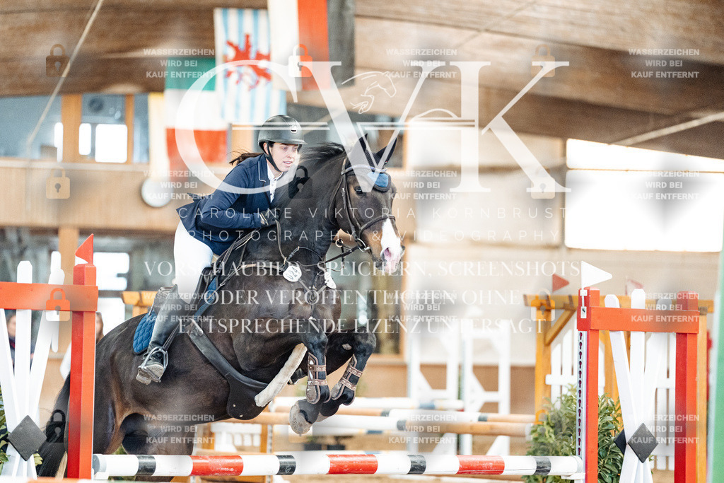 CK905100 | Turnierfotografie Pferdefotografie Trier Rheinland-Pfalz Pferdesport Reitsport Tierfotografie Sportfotografie Pferdevideo Pferdevideografie Equestrianvideography equestrianphotography  - Realized with Pictrs.com