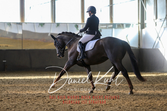 IMG_2188 | Turniersportfotografie; Pferdefotografie; Dressurfotografie