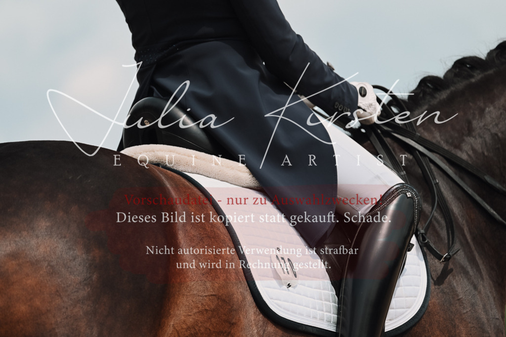 DSC_4291 | Pferde- und Turnierfotografie in Westsachsen. Pferdeportraits, Auftragszeichnungen und intuitive Kunst.