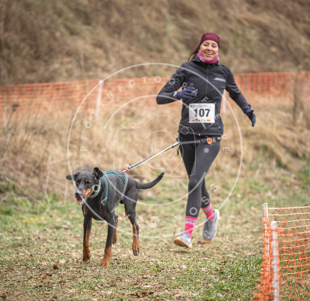Pfotenfotografie_DV3A7497 | Hundefotografie, Tierfotograf, Pfotenfotografie, Fotoshooting Hund, Hunde Portrait, Hundesport, Hundeportraits, Heideshooting, Hunde, Sportfotograf, Hundefotograf, Turnierhundsport, THS,  - Realisiert mit Pictrs.com