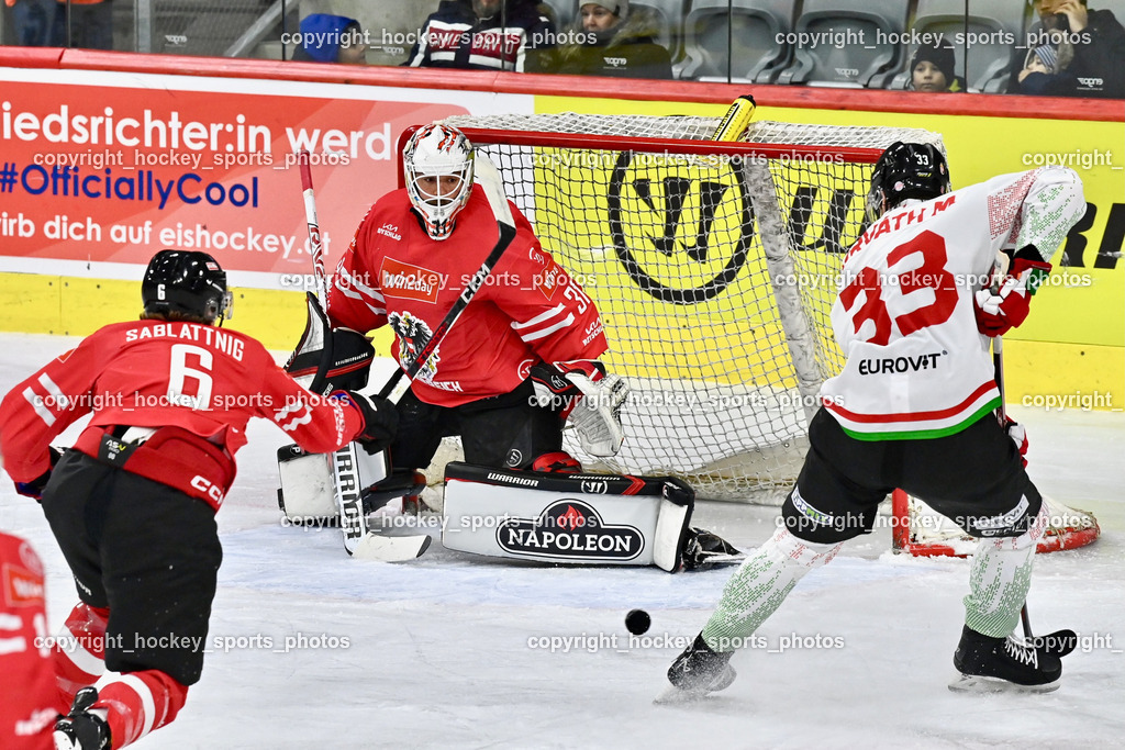 Österreich vs. Ungarn 14.12.2023 | Österreich vs. Ungarn 14.12.2023, Österreich vs. Ungarn  am 14.12.2023 in Klagenfurt (Heidi Horten Arena), Austria, (Photo by Bernd Stefan)