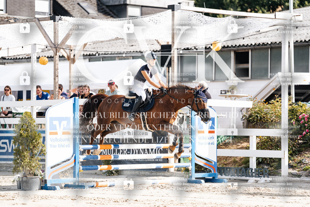 CK909122 | Turnierfotografie Pferdefotografie Trier Rheinland-Pfalz Pferdesport Reitsport Tierfotografie Sportfotografie Pferdevideo Pferdevideografie Equestrianvideography equestrianphotography  - Realisiert mit Pictrs.com