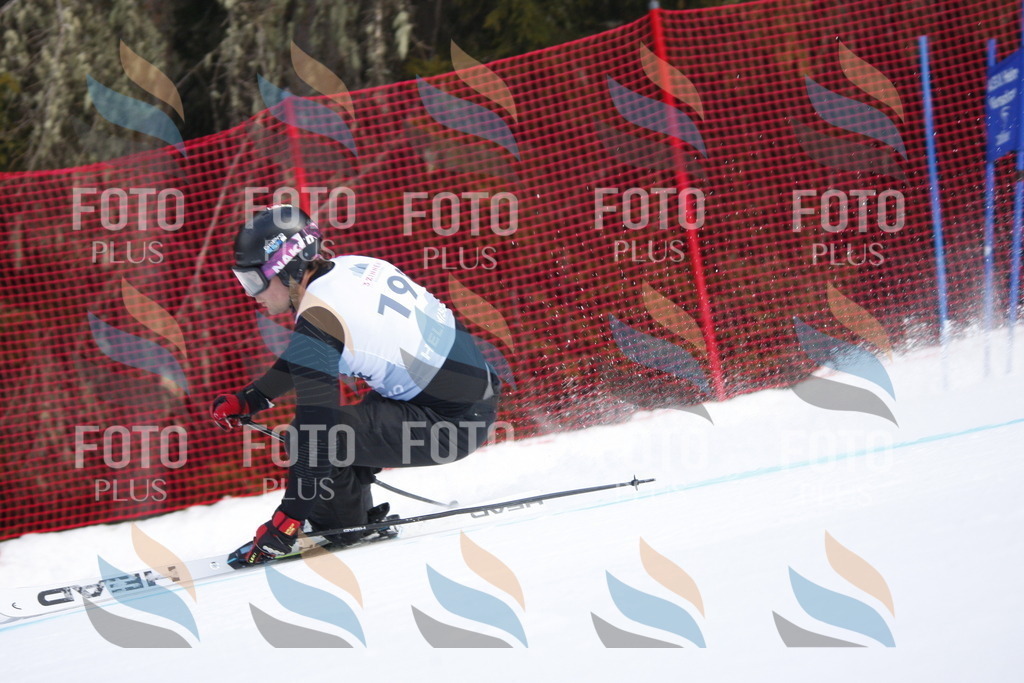 D8017 | holidayphoto