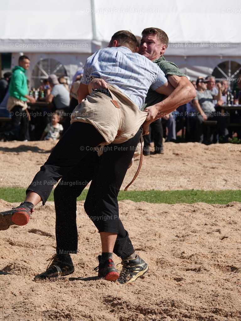 DSC05578 | Schwingen - Realisiert mit Pictrs.com