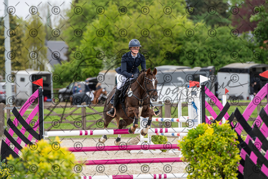 KPT_8114 | andre_photographic