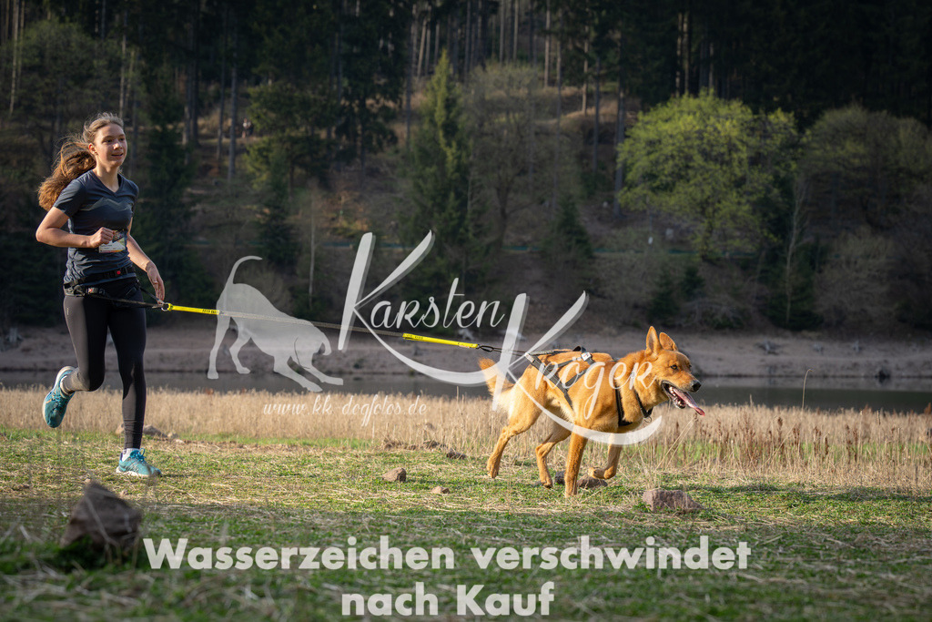 1825_ZZ97180 | kk-dogfotos