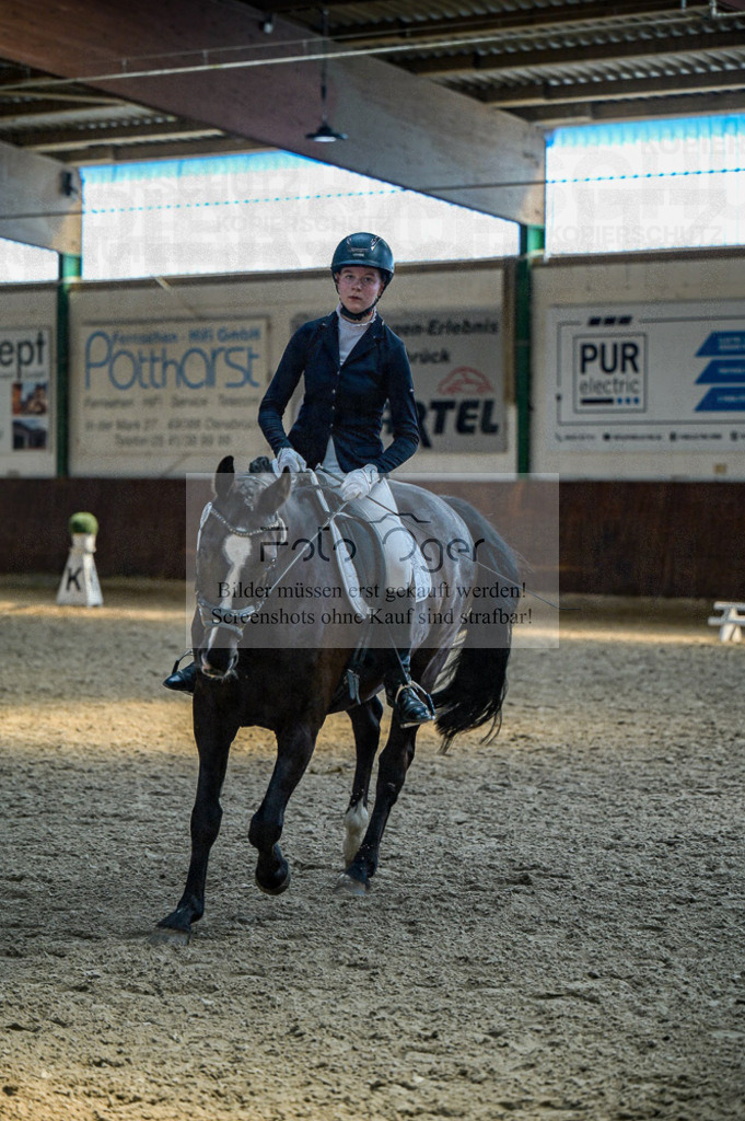 Reitturnier Voxtrup | Entdecke hochwertige Reitturnierfotos von Foto Oger. Professionell, emotional und authentisch – jetzt Lieblingsmomente im Shop bestellen.Deutschlandweite Turnierfotografie. - Realisiert mit Pictrs.com