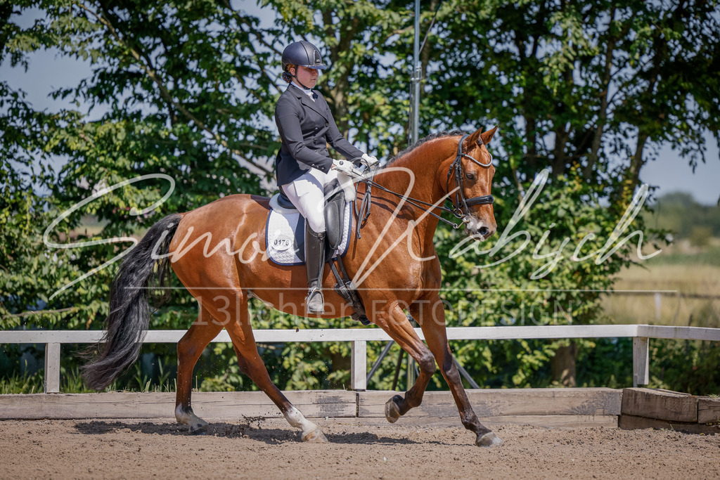 20250621-_3LI9109 | Tierfotografie Pferde, Hunde, Katzen, Haustiere.
Turnierfotografie Reitturniere, Reiten, Springreiten, Dressur in Hanau, dem Main-Kinzig-Kreis und dem Rhein-Main- Gebiet um Frankfurt