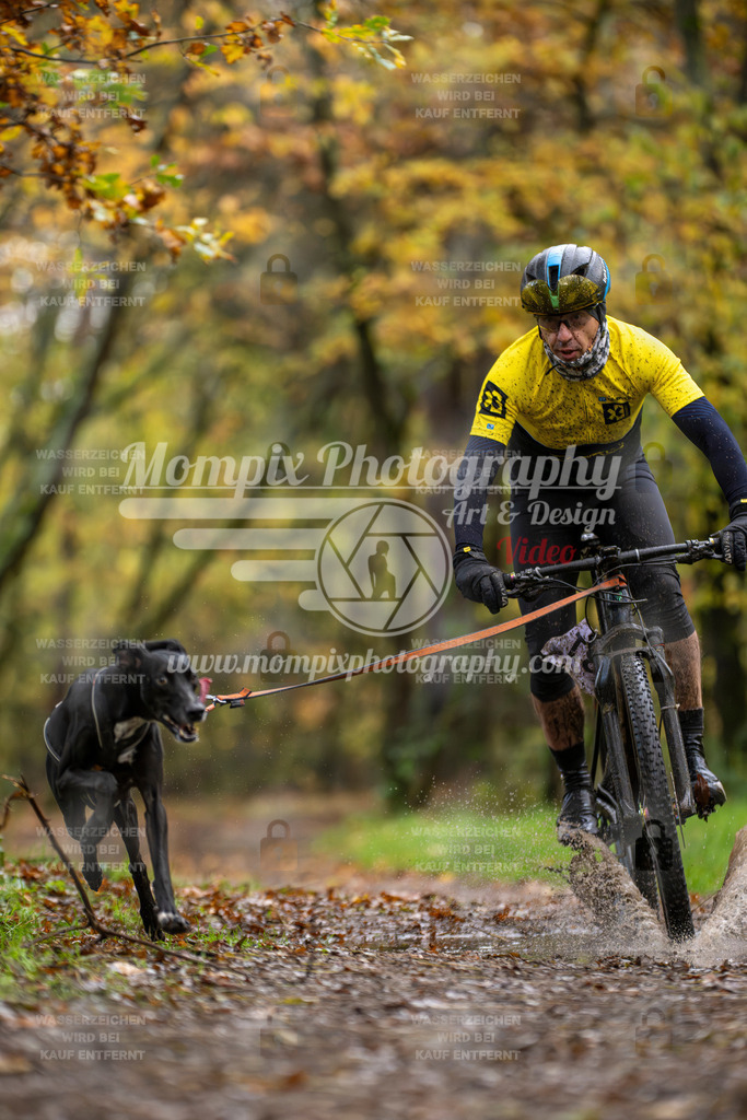 MompixPhotography_Bischwiller23_Bike-3 | mompixphotography