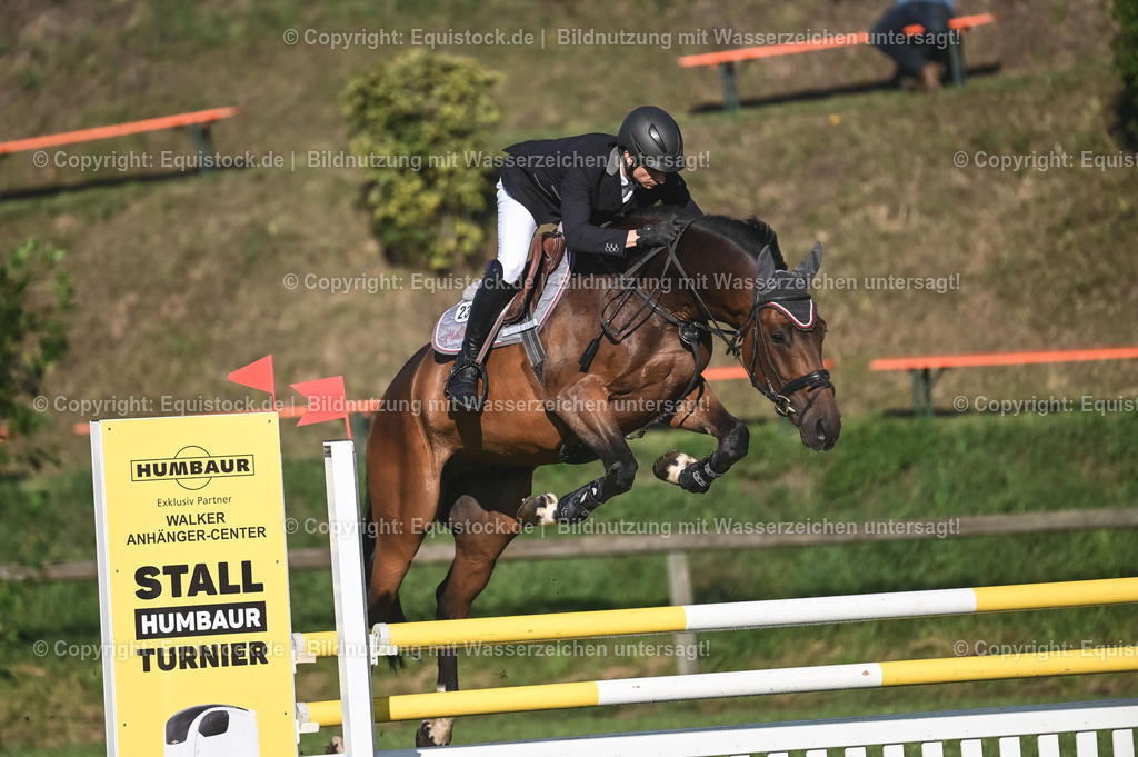 20230908_14-15_Springpferde-A_0039 | equistock