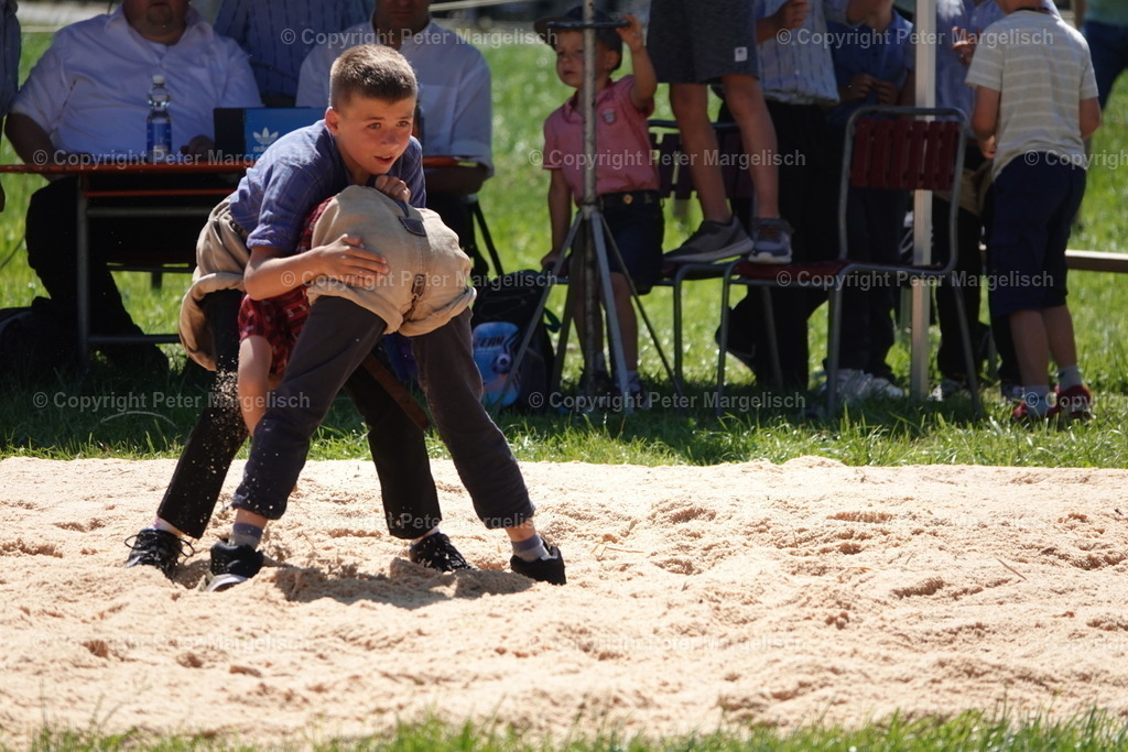 DSC04720 | Schwingen - Realisiert mit Pictrs.com