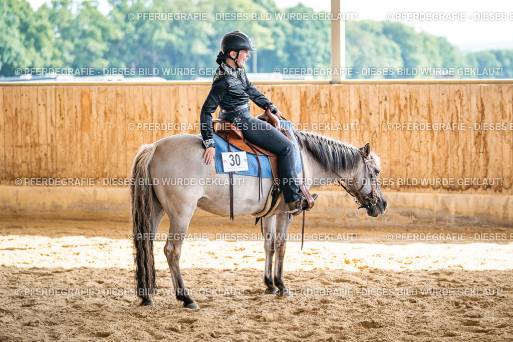 DSC09298 | Pferdegrafie