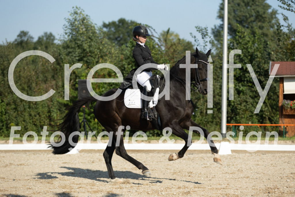 IMG_6441 | Creatify Fotografie