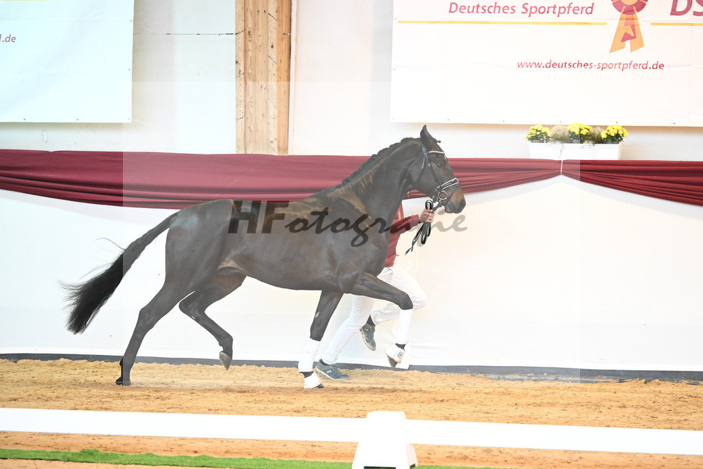 Kat-Nr. 40 v. Lord Europe_Bergmann_66221850 | hf-fotografie - Realisiert mit Pictrs.com