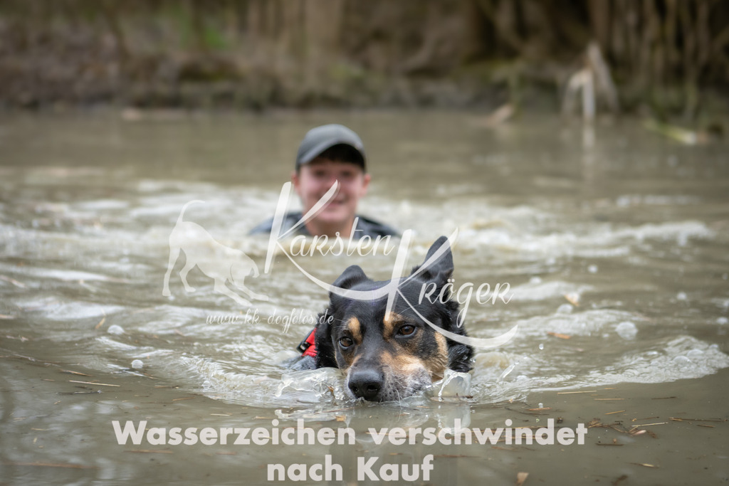 1527_ZZ93019 | kk-dogfotos