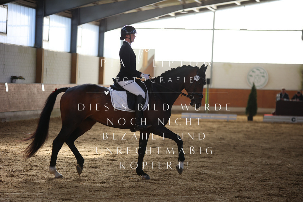 IMGT6231 | pl-fotografie