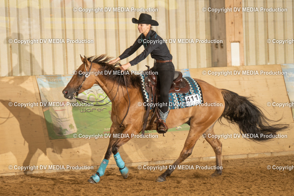 LAU00334 | dv-media-shop - Realisiert mit Pictrs.com