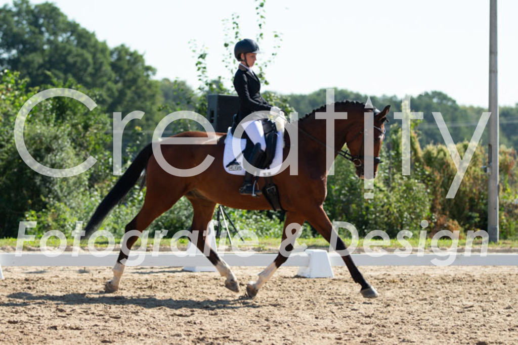 IMG_3582 | Creatify Fotografie