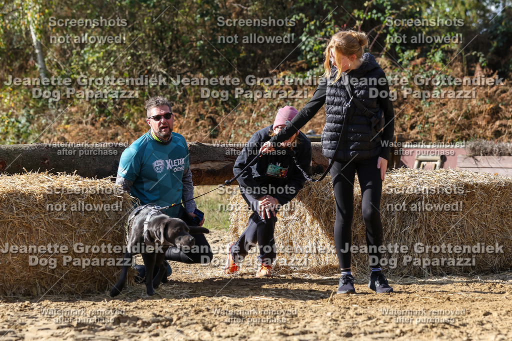 Dog Paparazzi - Strongdog 10-25-4863 | Dog Paparazzi Jeanette Grottendiek Fotografie & Videografie - Realisiert mit Pictrs.com