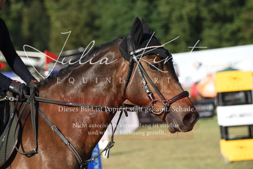 DSC_5097 | Pferde- und Turnierfotografie in Westsachsen. Pferdeportraits, Auftragszeichnungen und intuitive Kunst.