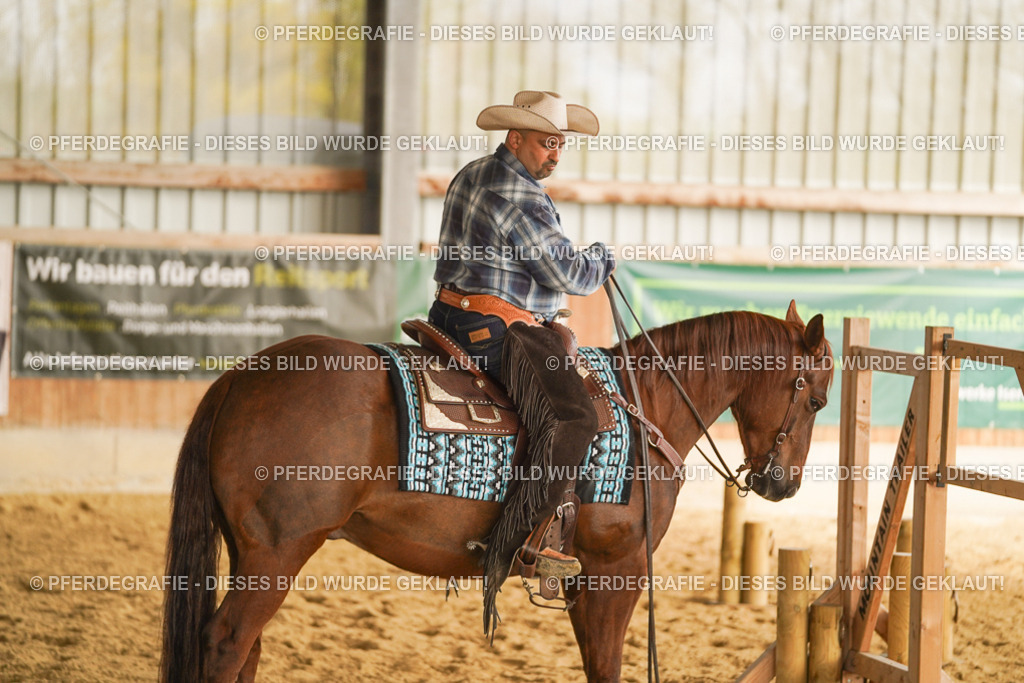 DSC01656 | Pferdegrafie