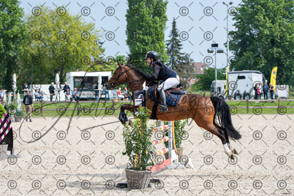 KPT_2970 | andre_photographic