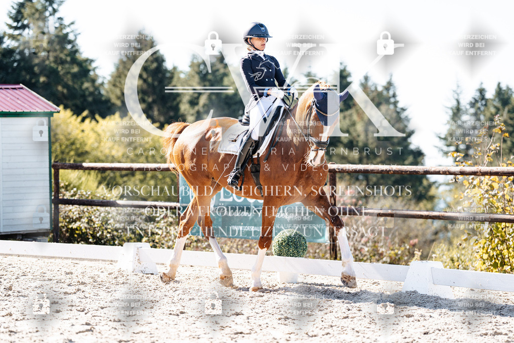 CK905456 | Turnierfotografie Pferdefotografie Trier Rheinland-Pfalz Pferdesport Reitsport Tierfotografie Sportfotografie Pferdevideo Pferdevideografie Equestrianvideography equestrianphotography  - Realisiert mit Pictrs.com
